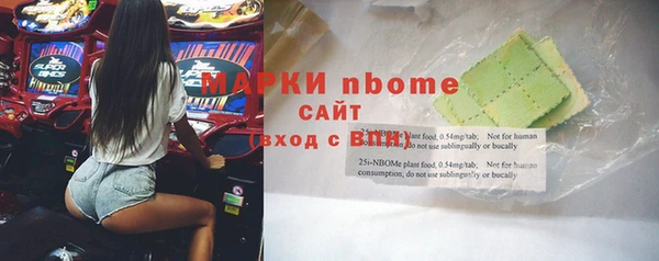 стафф Архангельск