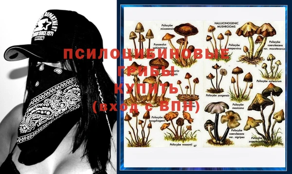 кристаллы Дмитриев