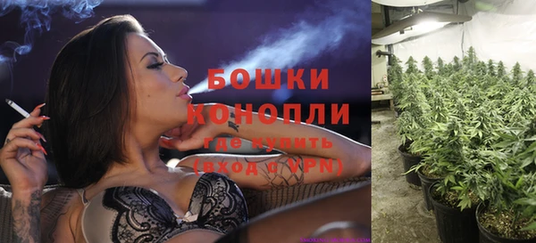 spice Дмитровск