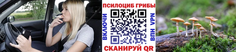 Галлюциногенные грибы GOLDEN TEACHER  Елабуга 