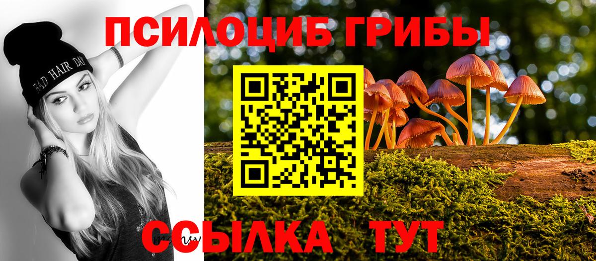 Псилоцибиновые грибы Psilocybe Елабуга
